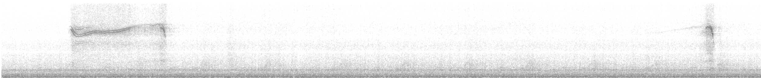 Chouette rayée - ML620744528