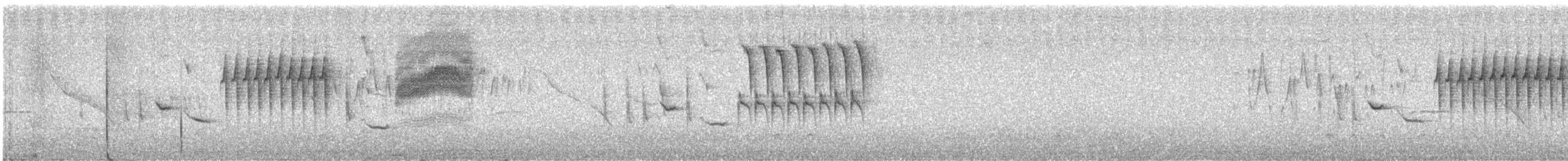 Troglodyte de Latham - ML620745491