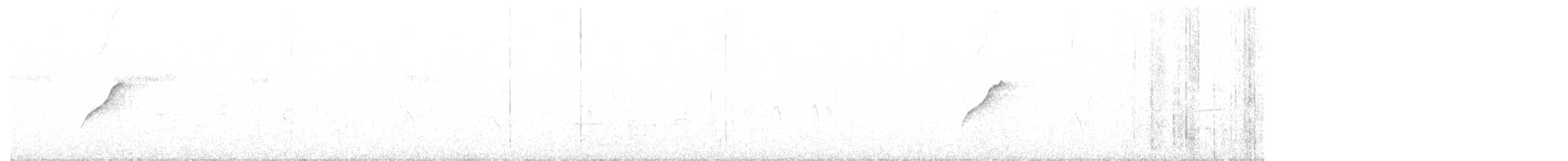 Batı Amerika Sinekkapanı (occidentalis/hellmayri) - ML620746920