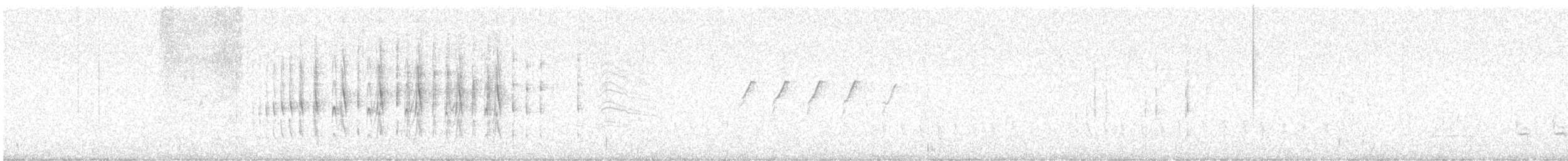 Strichelbrust-Dickichtschlüpfer - ML620747695