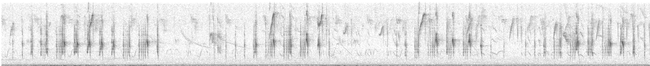 Ockerstirn-Zwergtyrann - ML620748368