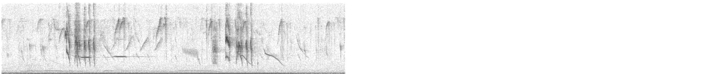 Tumbesian Tyrannulet - ML620748587
