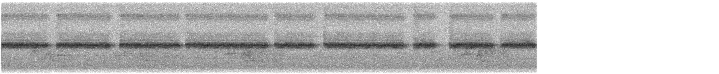 Schmalschnabel-Königstyrann - ML620748858