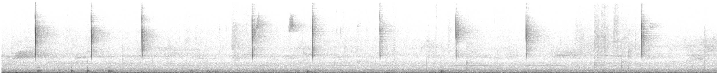 Kara Gözlü Junko (hyemalis/carolinensis) - ML620752865
