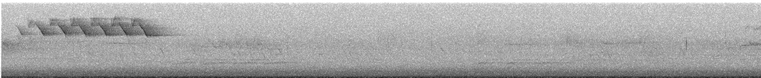 lesňáček černobílý - ML620753214