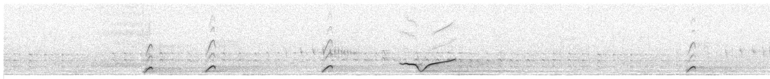 Black-crowned Monjita - ML620755831