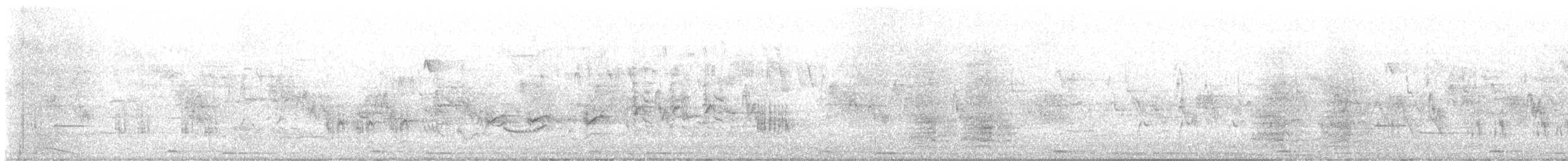 Great Reed Warbler - ML620757490