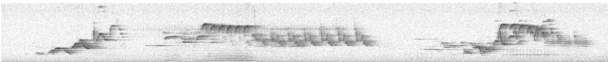 Дрізд-короткодзьоб Cвенсона - ML620761378