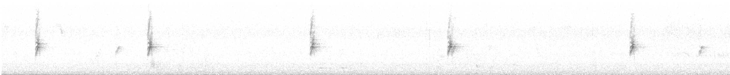 svarthvit fluesnapper - ML620762317