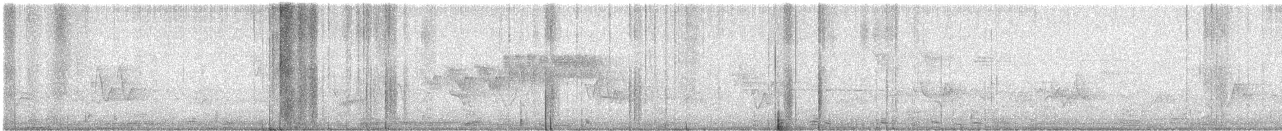 Paruline azurée - ML620763603