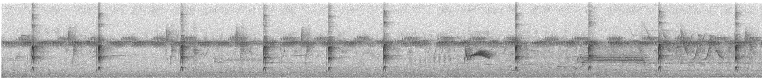 Schmalschnabel-Königstyrann - ML620765079