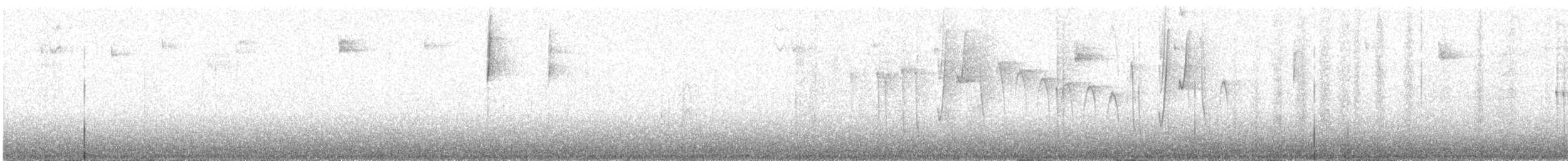 ニジハチドリ - ML620767670