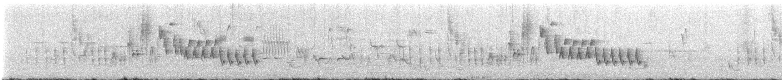 Northern House Wren - ML620768939