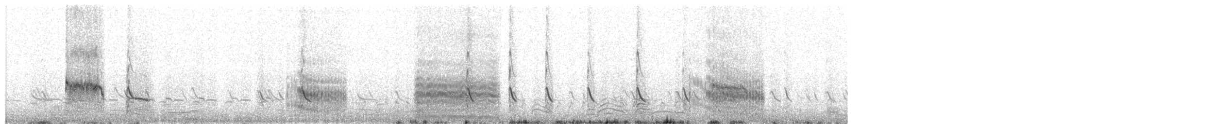 Bécasseau variable (schinzii) - ML620769521