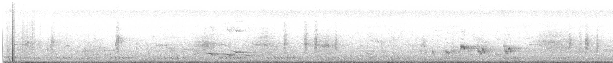 svartnakkepirol (diffusus) - ML620769524