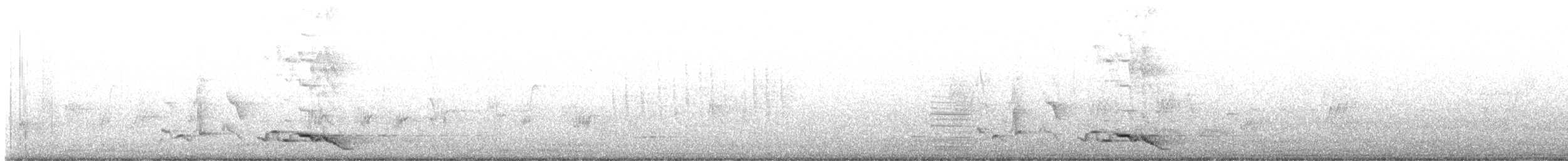 svartnakkepirol (diffusus) - ML620769525