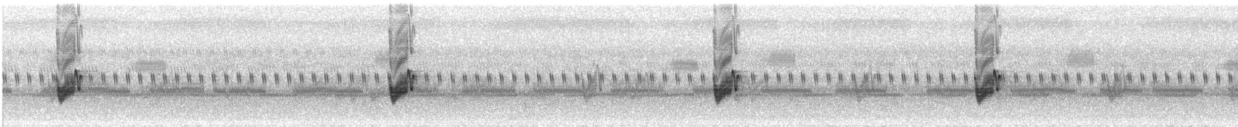 Savannennachtschwalbe [monticolus-Gruppe] - ML620769984