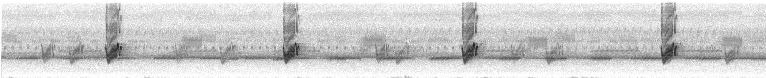 Savannennachtschwalbe [monticolus-Gruppe] - ML620769986