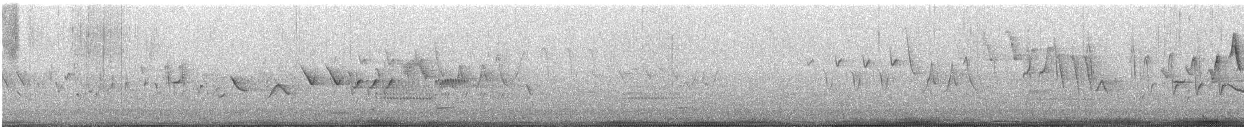 revespurv (schistacea gr.) (skiferrevespurv) - ML620773038