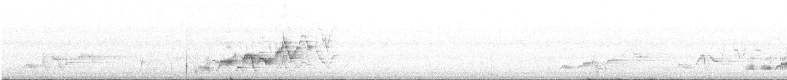 Дрізд-короткодзьоб Cвенсона - ML620775070