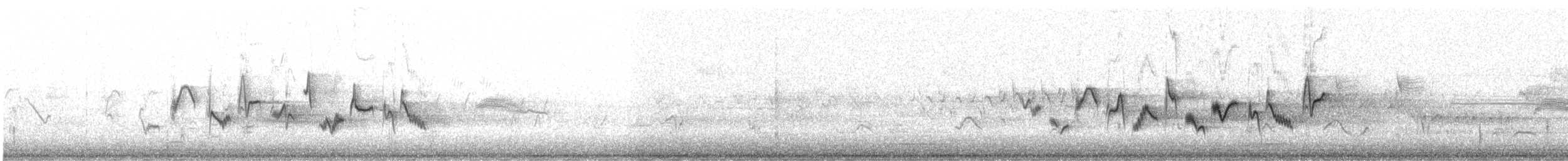 Western Warbling Vireo - ML620775488