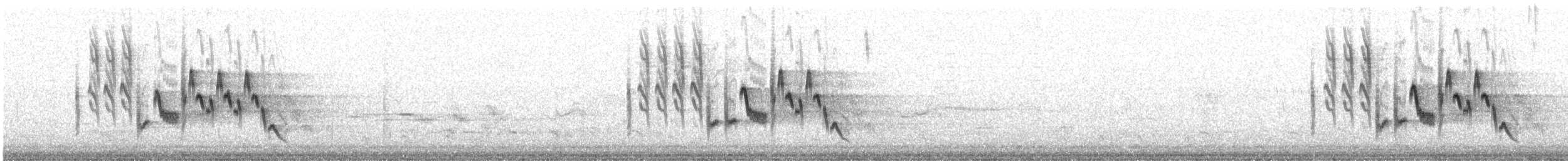 Northern House Wren - ML620775516