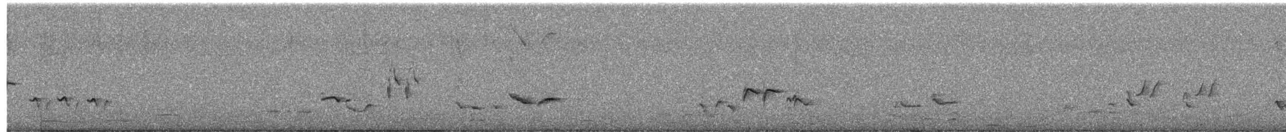 Cape Robin-Chat - ML620780002