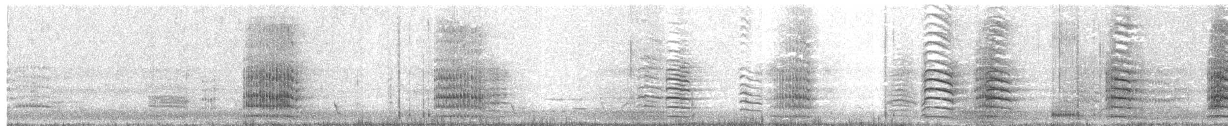 Cacatoès banksien - ML620780356