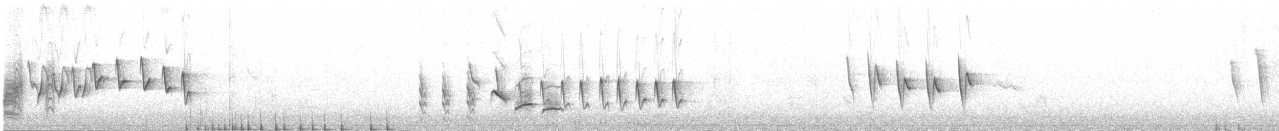 Pouillot ombré - ML620781501