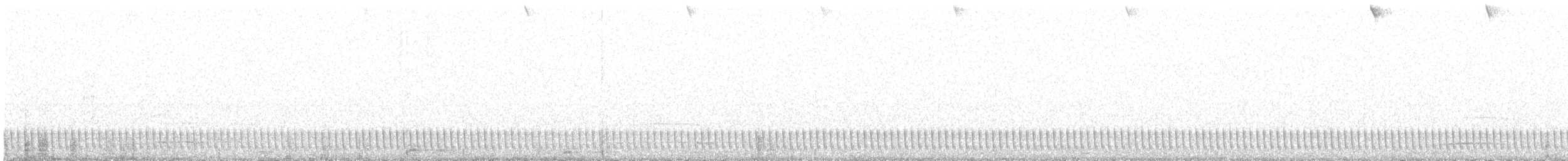 Marmornachtschwalbe - ML620781861