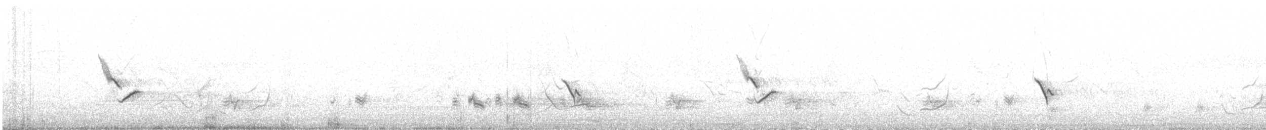 Long-billed Pipit - ML620782277