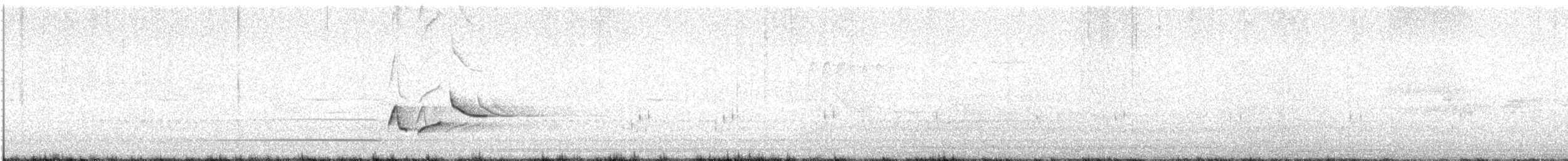 Горная широкохвостка (robustipes) - ML620785255