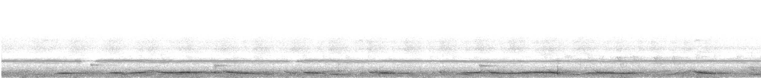 holub ostroocasý - ML620787121
