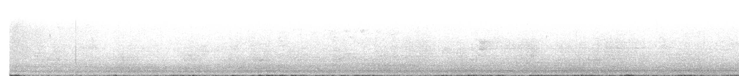 ネルソントゲオヒメドリ（subvirgata） - ML620788805