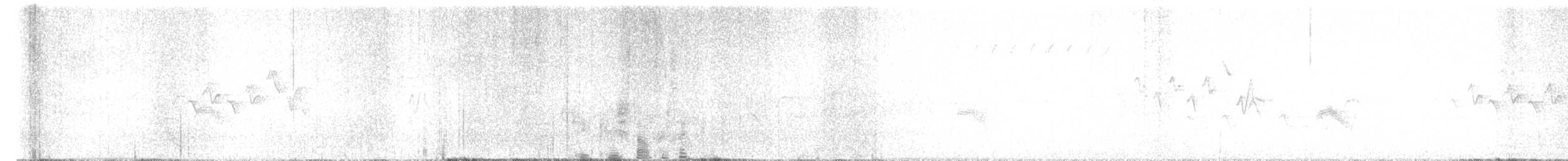 Пестрогорлый соловьиный дрозд - ML620788973