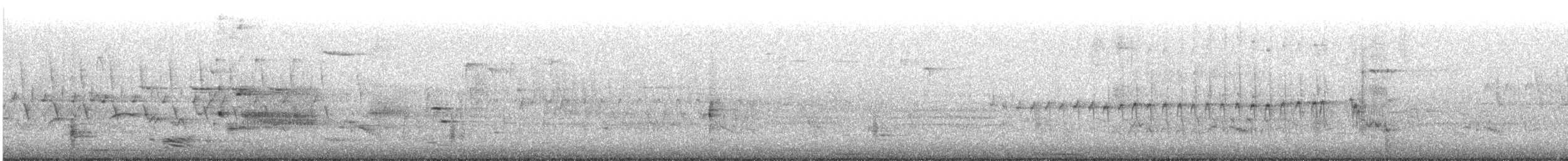 Corvus sp. (crow sp.) - ML620790917