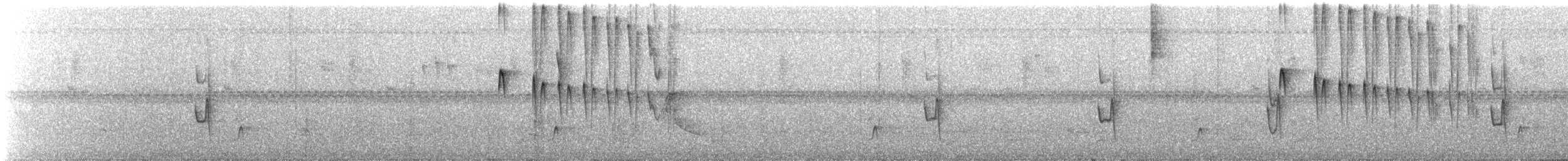 Weißscheitel-Kleintyrann (subcristata/straminea) - ML62079111