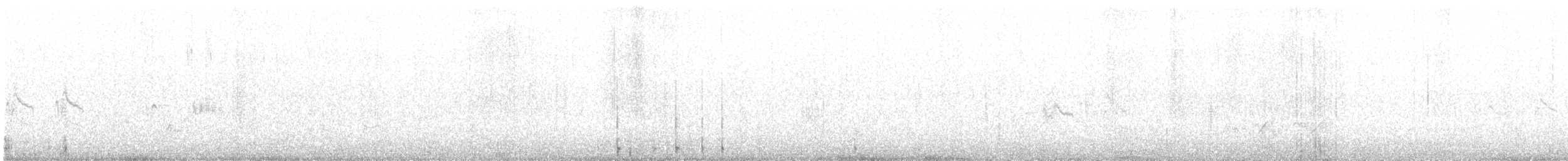 Prinia gracile - ML620791356