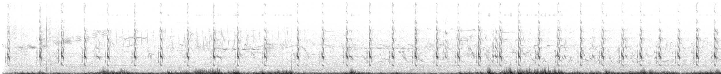 willetsnipe (semipalmata) - ML620794333