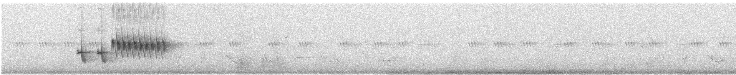 flekktovi (maculatus gr.) - ML620795224