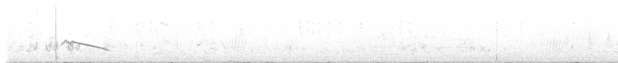 Alouette du Namaland (groupe subcoronata) - ML620795534