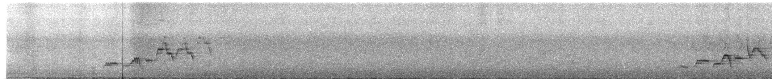 Дрізд-короткодзьоб Cвенсона - ML620798849