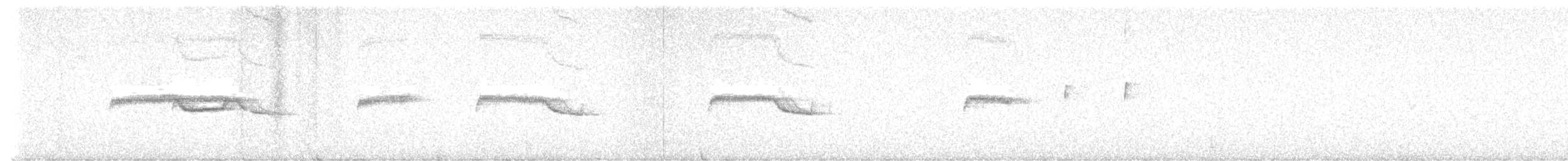 Breitspiegel-Nachtschwalbe (atripunctata) - ML620808858