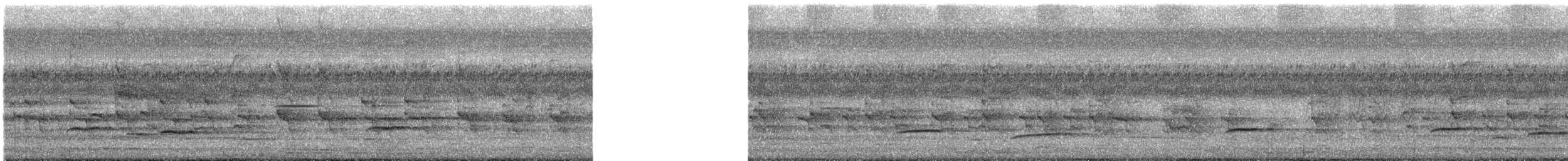 Râle à collier - ML620814549