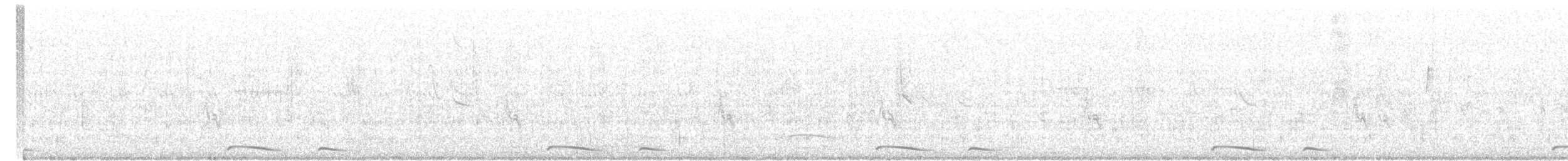 holoubek mexický - ML620815143