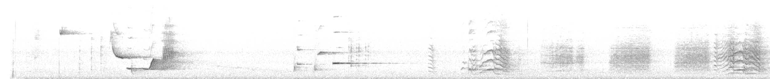 lyrochvost nádherný - ML620815450