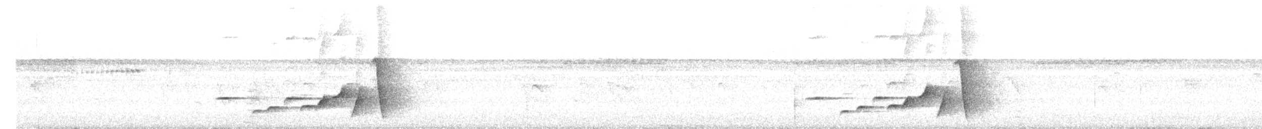 Silbador de Fiyi - ML620815565