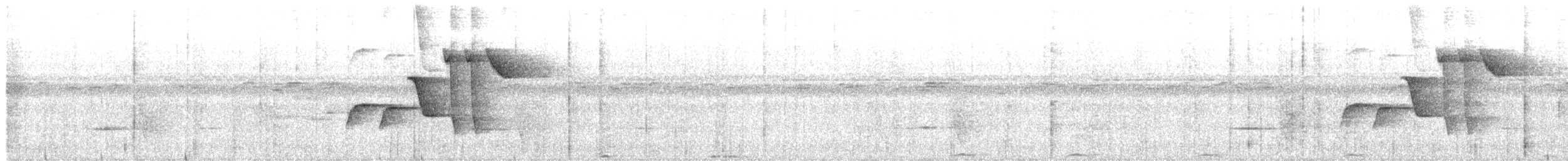 Длинноногая клинохвостка - ML620815624