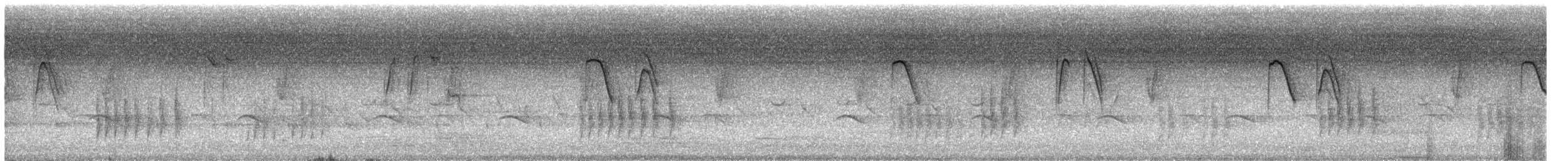 Papamoscas Colirrojo - ML620816347