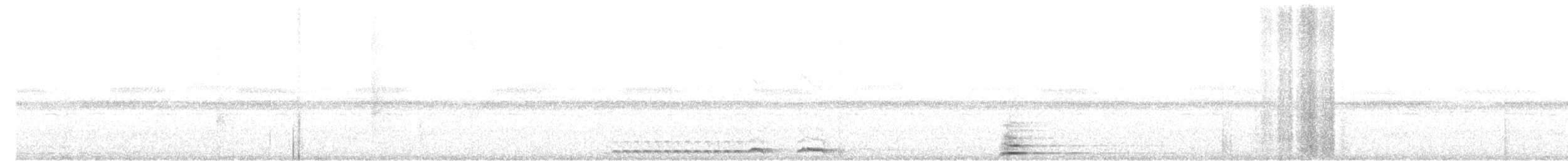Сплюшка неотропічна - ML620816360